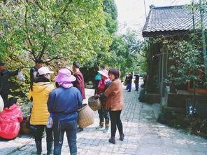 茶农世家最新爆料,传承千年的神秘茶事 第2张 茶农世家最新爆料,传承千年的神秘茶事 第2张